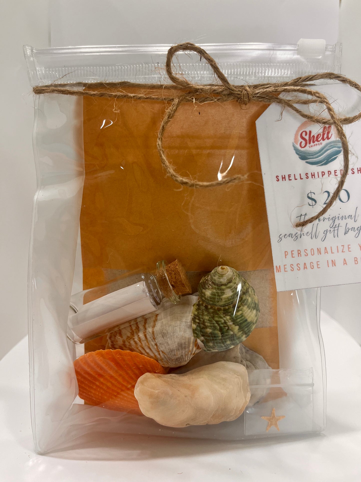 Shell Shipped Seashell Gift Bag
