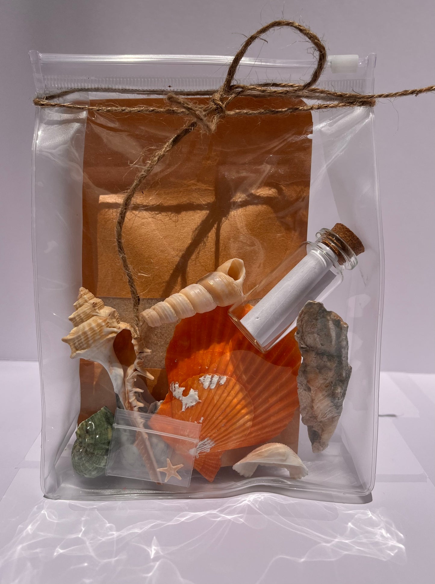 Shell Shipped Seashell Gift Bag