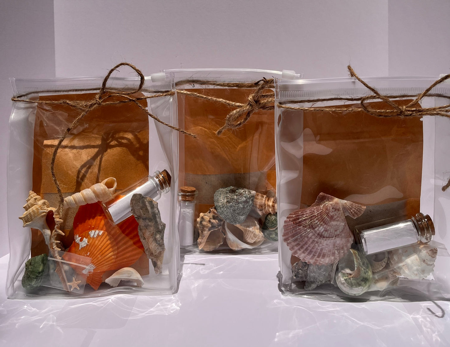 Shell Shipped Seashell Gift Bag