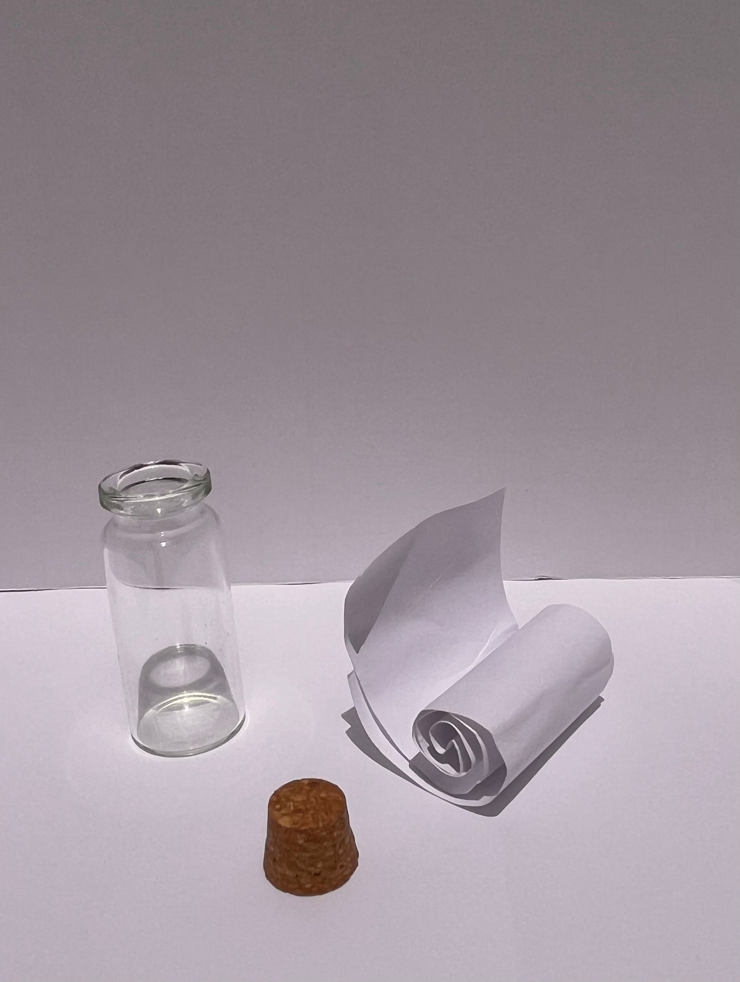 Shell Shipped Seashell Gift Bag