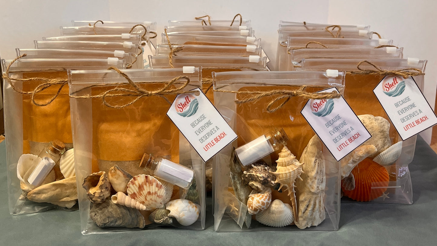 Shell Shipped Seashell Gift Bag