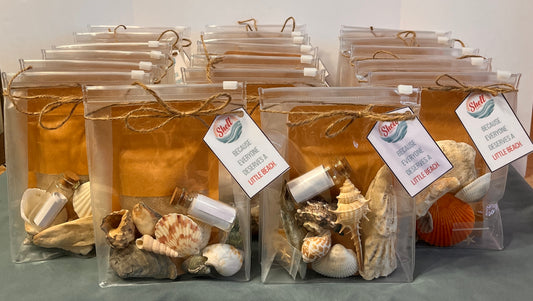 Shell Shipped Seashell Gift Bag