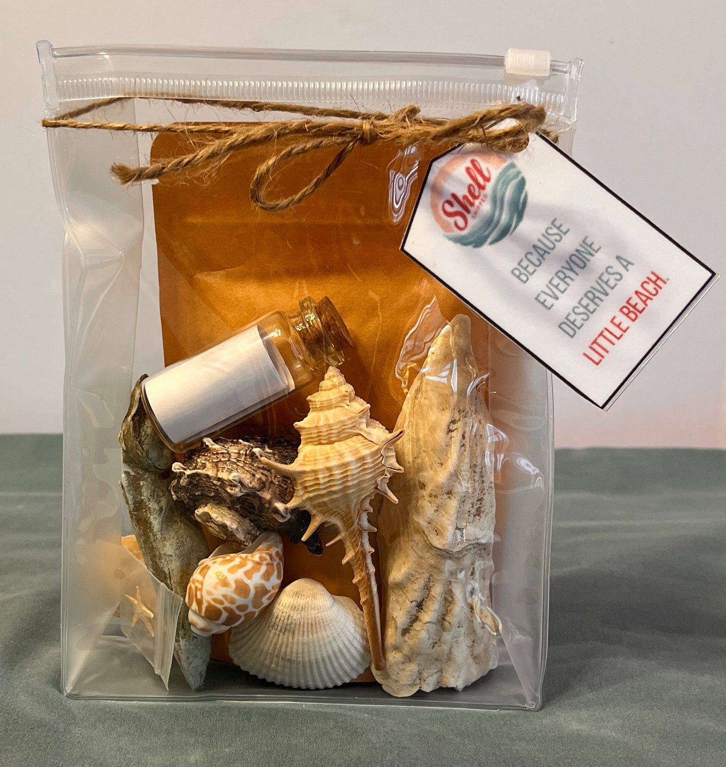 Shell Shipped Seashell Gift Bag