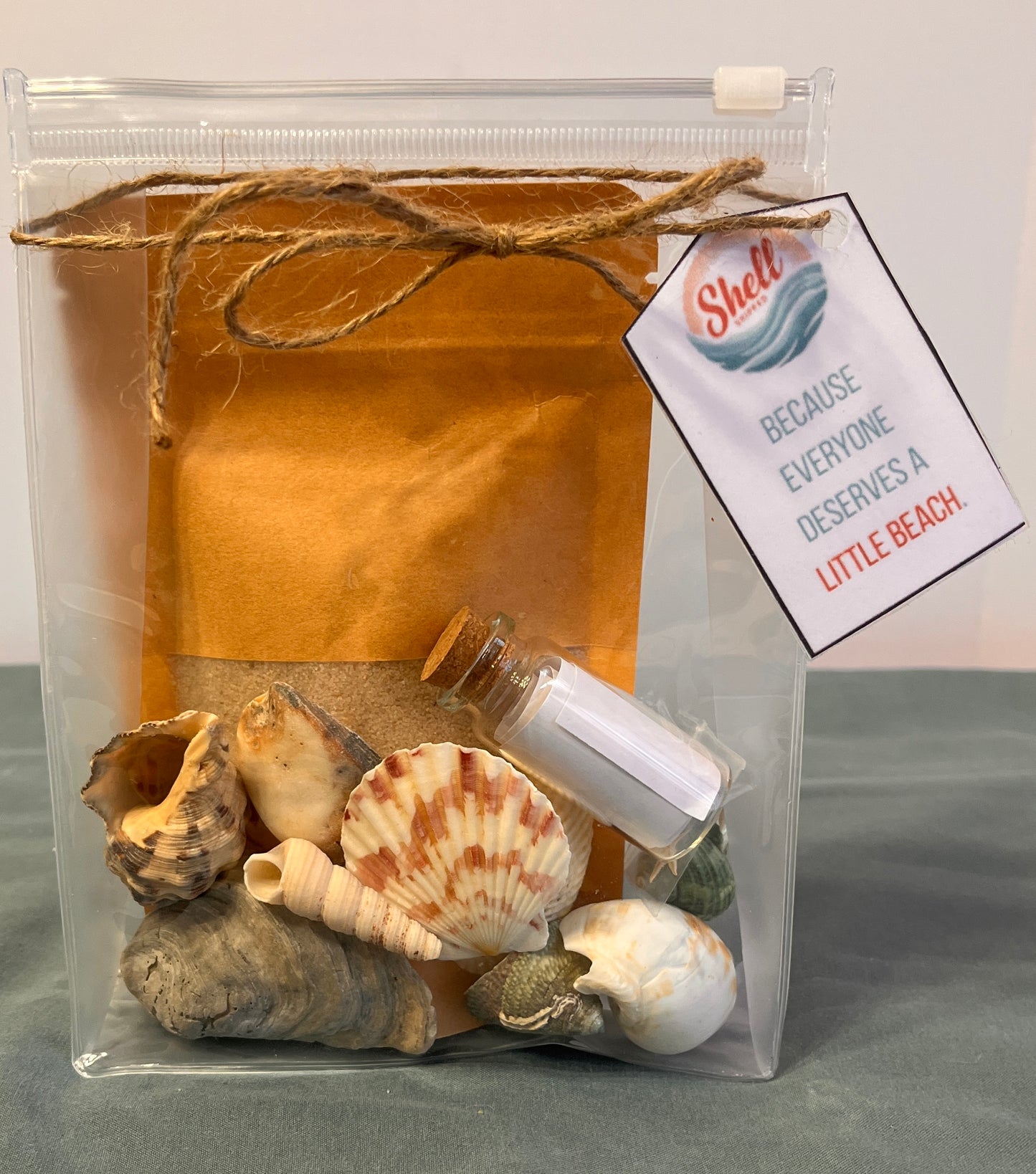 Shell Shipped Seashell Gift Bag